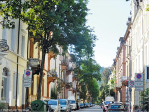 12Bäume_Scheffelstraße