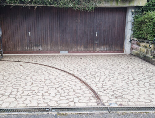 Mehr Geld für Grün: Freiburg fördert  Dach- und Fassadenbegrünung stärker